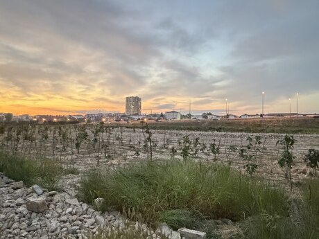 Bakıxanov q.