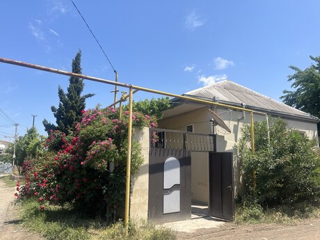 Biləcəri q.