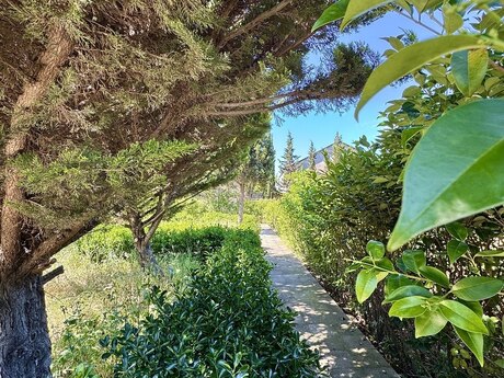 Albalılıqda 9 otaqlı həyət evi satılır, 550 m², 250 000 AZN, şəkil 4 / 12