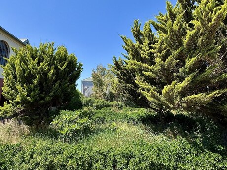 Albalılıqda 9 otaqlı həyət evi satılır, 550 m², 250 000 AZN, şəkil 2 / 12