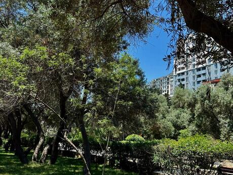 3-room apartment, 100 m², Premium Park - Neftçilər: 275 000 ₼ 2