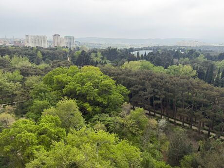 Объявление №6165992 - Баку, пос. Бадамдар, 4-комн., 170 м², 9/18 этаж