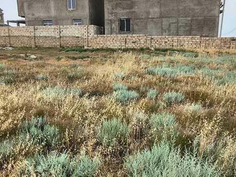 Elan №6167586 - Bakı, Badamdar q., 3 sot
