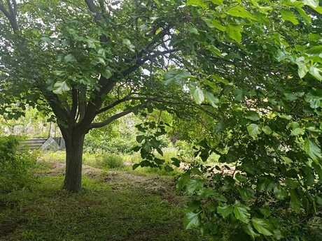 9 otaqlı həyət evi, 350 m², Biləcəri: 255 000 ₼ 3
