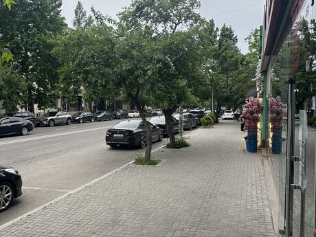 Obyekt - Elmlər Akademiyası m. - 145 m²