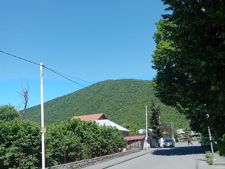 Гах