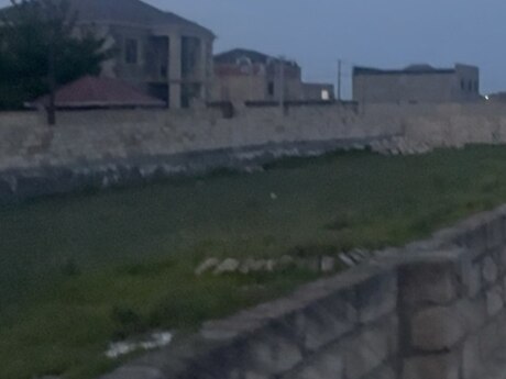 Novxanı q.