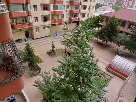 Şah İsmayıl Xətai m.