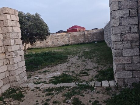 Albalılıq q.
