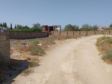 Novxanı q.
