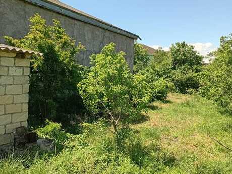 Elan №6170673 - Xaçmaz, Xaçmaz, 37 sot