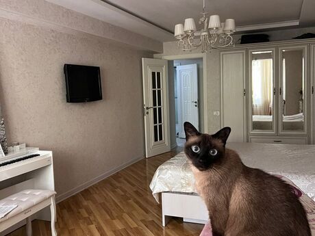 Elan №6171020 - Bakı, Elmlər Akademiyası m., 2 otaqlı, 75 m², 2/9 mərtəbə
