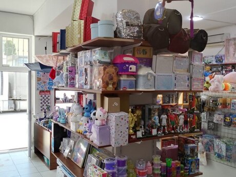 Elan №6171176 - Bakı, Binəqədi q., 12 otaqlı, 505 m², 3/3 mərtəbə