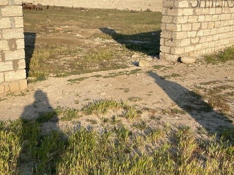 Pirallahı r.