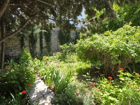 4 otaqlı həyət evi, 130 m², Bakıxanov: 297 000 ₼ 4