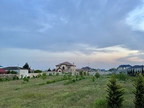 Albalılıq q.