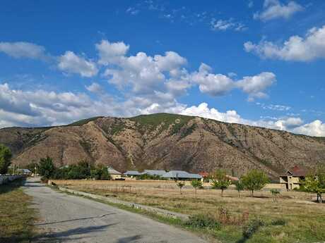 Шеки