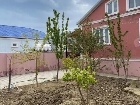 Объявление №6171725 - Баку, пос. Мамедли, 3-комн., 80 м²