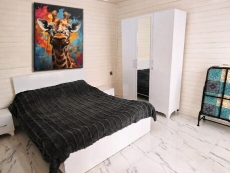 2 otaqlı həyət evi/bağ evi - İsmayıllı - 80 m²