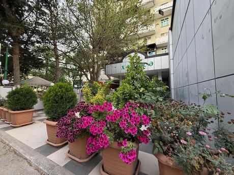 Obyekt - Xalqlar Dostluğu m. - 1350 m²