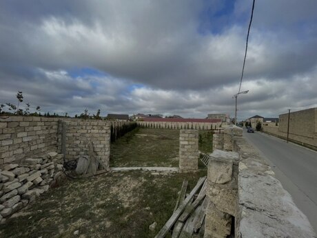 Qala q.