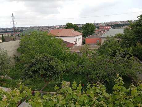 Qaraçuxur q.