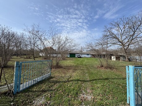 5 otaqlı həyət evi/bağ evi - Qəbələ - 140 m²