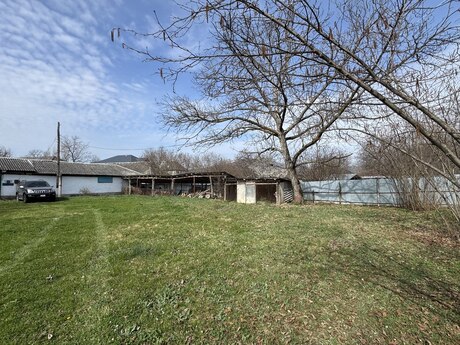 5 otaqlı həyət evi/bağ evi - Qəbələ - 140 m²