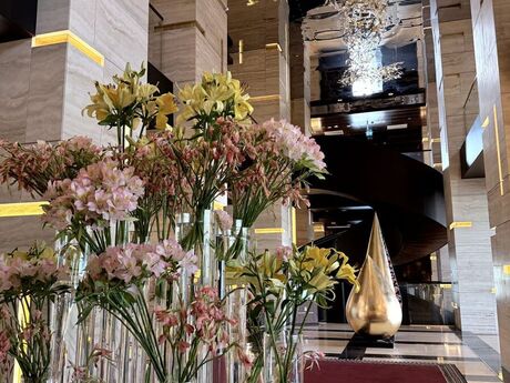 Elan №6173628 - Bakı, Şah İsmayıl Xətai m., 3 otaqlı, 165 m², 25/27 mərtəbə