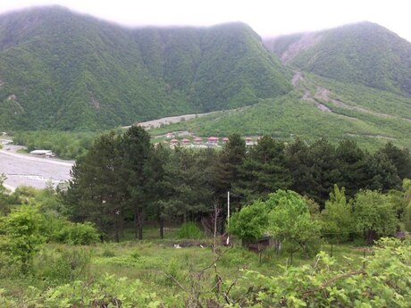 Şəki