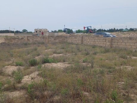 Buzovna q.