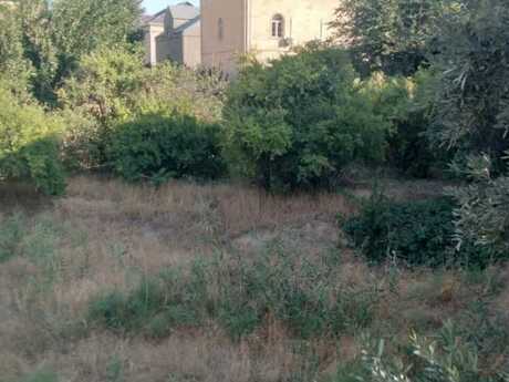 Torpaq - Badamdar q. - 6 sot