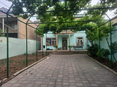 Qaraçuxur q.