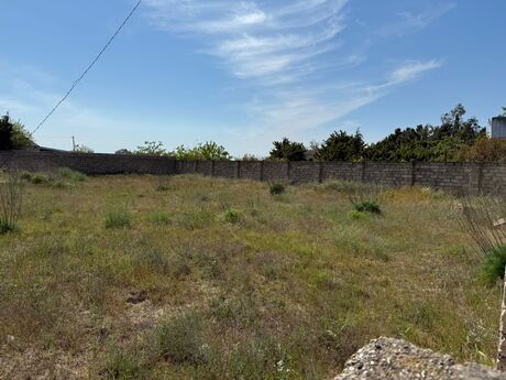 Elan №6175993 - Bakı, Qala q., 12 sot