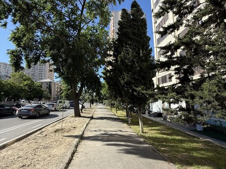 2-комнатная квартира, 65 м², İnşaatçılar: 177 000 ₼ 3