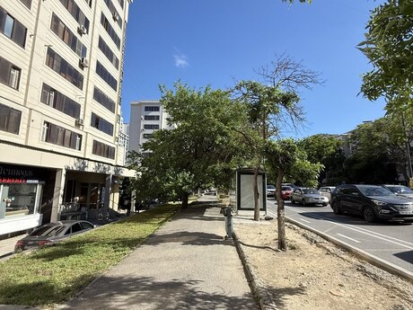 2-комнатная квартира, 65 м², İnşaatçılar: 177 000 ₼ 4