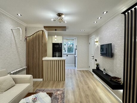 Elan №6176545 - Bakı, Nəriman Nərimanov m., 2 otaqlı, 45 m², 3/5 mərtəbə