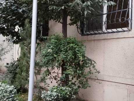 м. Иншаатчылар