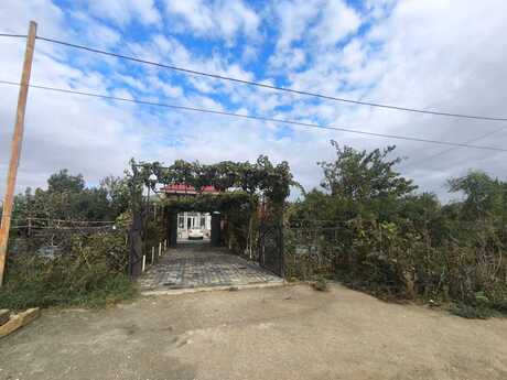 Masazır q.