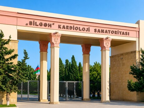 Elan №6179809 - Bakı, Bilgəh q., 9 sot