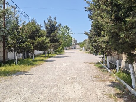 Maştağa q.