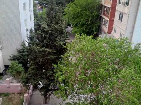 м. Ази Асланов