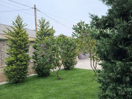 Сдаётся 6-комнатный дом, Buzovna, 250 м², 250 AZN/мес, фото 3 / 12