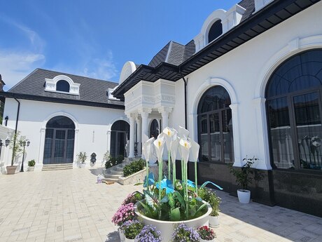 12 otaqlı həyət evi, 1 700 m², Buzovna: 6 000 000 ₼ 3