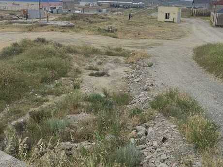 Elan №6182173 - Bakı, Saray q., 6 sot