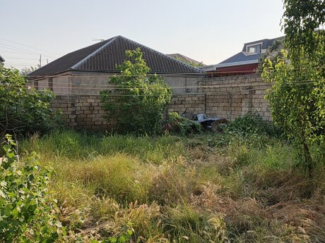Sulutəpə q.