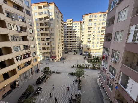 Zığ q.