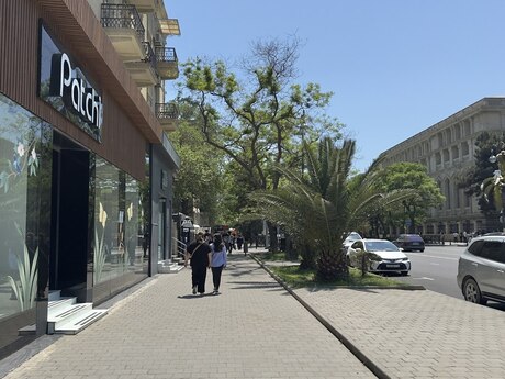 Elan №6173951 - Bakı, Elmlər Akademiyası m., 3 otaqlı, 80 m², 2/5 mərtəbə