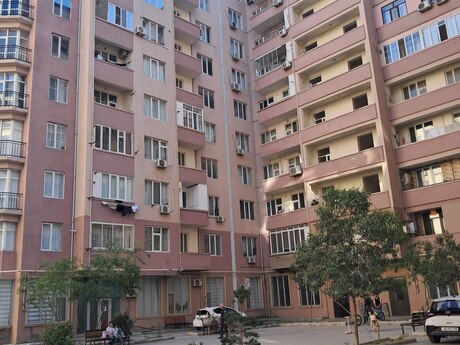 Zığ q.