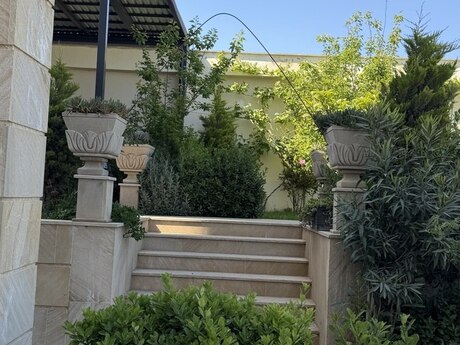 Şıxov q.